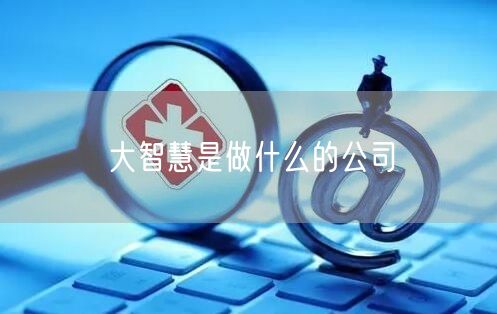 大智慧是做什么的公司