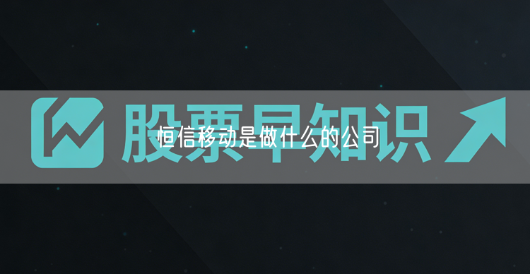 恒信移动是做什么的公司