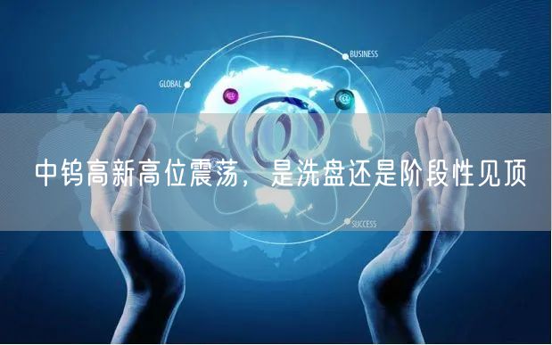 中钨高新高位震荡，是洗盘还是阶段性见顶