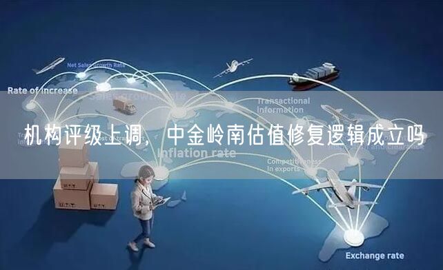 机构评级上调，中金岭南估值修复逻辑成立吗
