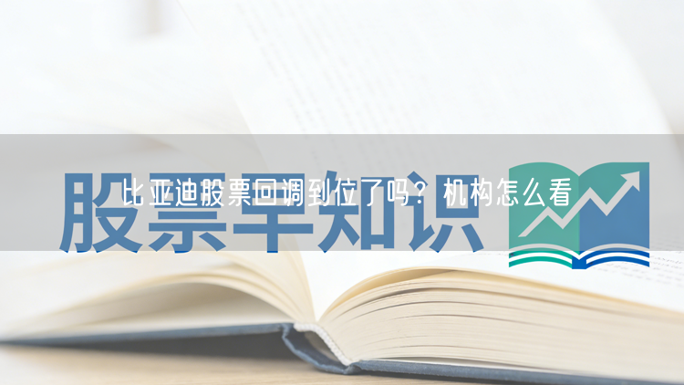比亚迪股票回调到位了吗？机构怎么看