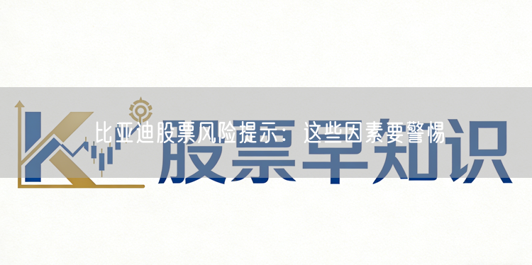 比亚迪股票风险提示：这些因素要警惕