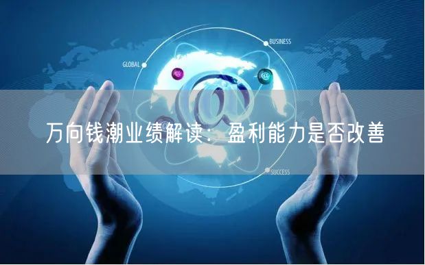 万向钱潮业绩解读：盈利能力是否改善