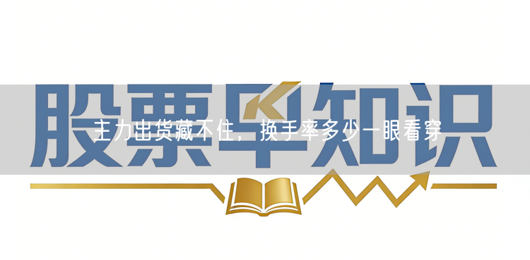 主力出货藏不住，换手率多少一眼看穿