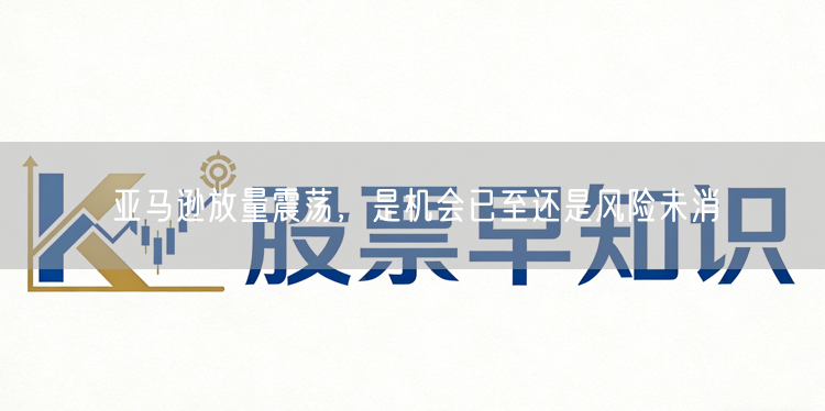 亚马逊放量震荡，是机会已至还是风险未消