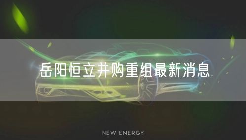 岳阳恒立并购重组最新消息