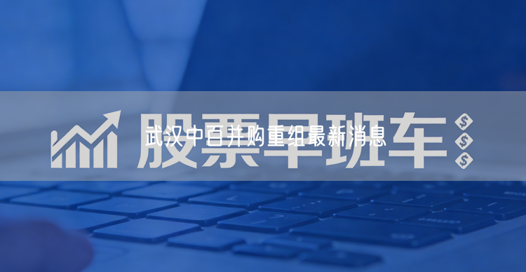武汉中百并购重组最新消息